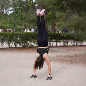 Domina el pino desde cero